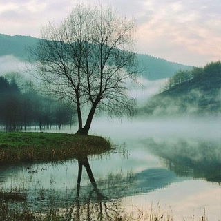 Briar Gauge style, Midjourney V6.1: realistic landscape photograph of quiet dawn