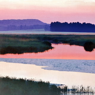 Blackbird Aquatint style, Midjourney V6.1: realistic landscape photograph of quiet dawn