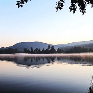 Diorama Botanomech style, Midjourney V6.1: realistic landscape photograph of quiet dawn