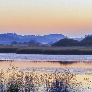 Cartorust style, Midjourney V6.1: realistic landscape photograph of quiet dawn
