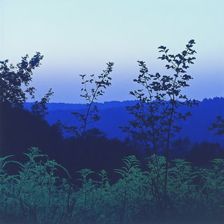 Petalbody Dancehall style, Midjourney V6.1: realistic landscape photograph of quiet dawn