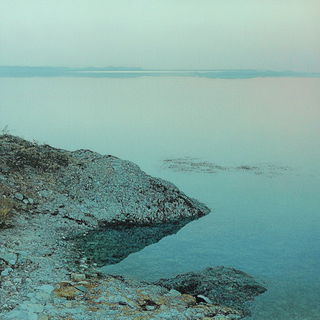 Pearlwarp style, Midjourney V6.1: realistic landscape photograph of quiet dawn