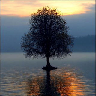 Winterblack style, Midjourney V6.1: realistic landscape photograph of quiet dawn