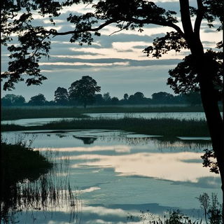 Folkloreflux style, Midjourney V6.1: realistic landscape photograph of quiet dawn