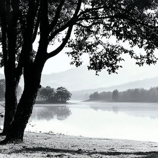 Glimmercaravan style, Midjourney V6.1: realistic landscape photograph of quiet dawn
