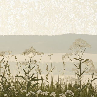 The Gutter Riot style, Midjourney V6.1: realistic landscape photograph of quiet dawn
