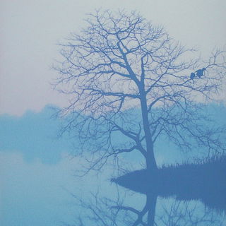 Ink Orbit style, Midjourney V6.1: realistic landscape photograph of quiet dawn