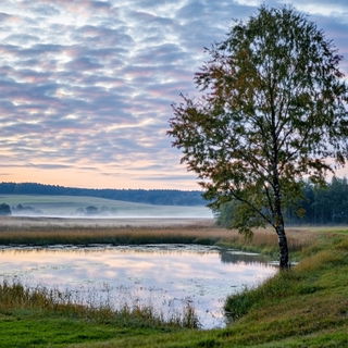 Blockhaven style, Midjourney V6.1: realistic landscape photograph of quiet dawn