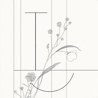 Redwindow Chiaropulp style, Midjourney V6.1: typographic composition with large letters