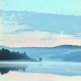 Floraimancy style, Midjourney V6.1: realistic landscape photograph of quiet dawn