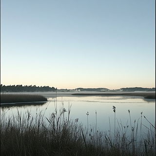 Mosskin Scenic Models style, Midjourney V6.1: realistic landscape photograph of quiet dawn