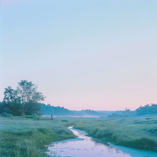 Cyanodoodle style, Midjourney V6.1: realistic landscape photograph of quiet dawn