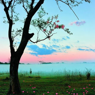 The Stormscale School style, Midjourney V6.1: realistic landscape photograph of quiet dawn