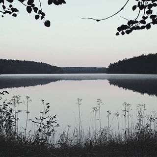 Apogee Television style, Midjourney V6.1: realistic landscape photograph of quiet dawn