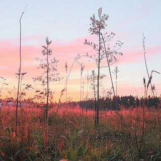 Azurite Hatchworlds style, Midjourney V6.1: realistic landscape photograph of quiet dawn