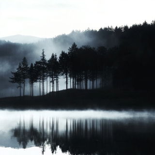 Needle Eden style, Midjourney V6.1: realistic landscape photograph of quiet dawn