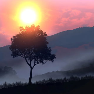 Oceanovista style, Midjourney V6.1: realistic landscape photograph of quiet dawn