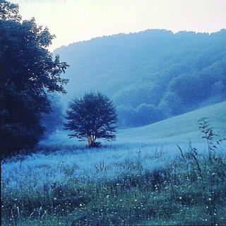 Celsylvan style, Midjourney V6.1: realistic landscape photograph of quiet dawn