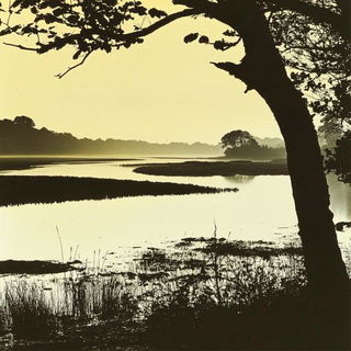 Parrotheon style, Midjourney V6.1: realistic landscape photograph of quiet dawn