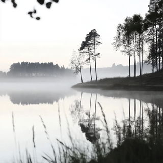 Fumegreen style, Midjourney V6.1: realistic landscape photograph of quiet dawn