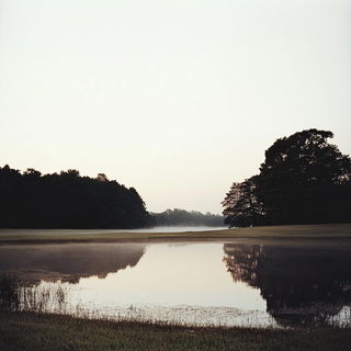 Orchardgris style, Midjourney V6.1: realistic landscape photograph of quiet dawn