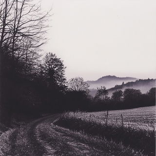 Chrysometal Gothic style, Midjourney V6.1: realistic landscape photograph of quiet dawn