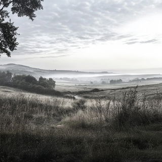 Conifer Switchback style, Midjourney V6.1: realistic landscape photograph of quiet dawn