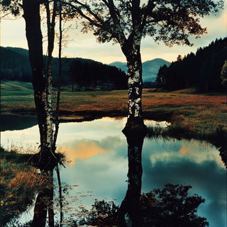 Slagpetal style, Midjourney V6.1: realistic landscape photograph of quiet dawn