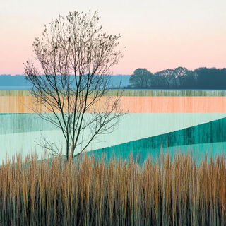 Surgecomic style, Midjourney V6.1: realistic landscape photograph of quiet dawn