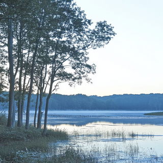 Mimograph Mythics style, Midjourney V6.1: realistic landscape photograph of quiet dawn