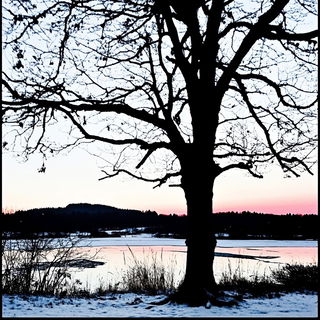 Stratofilm style, Midjourney V6.1: realistic landscape photograph of quiet dawn