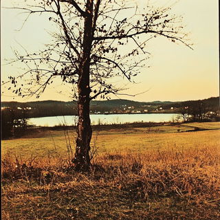 Tealectrum style, Midjourney V6.1: realistic landscape photograph of quiet dawn