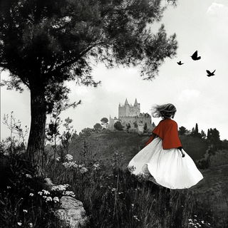 Paperhalo style, Midjourney V6.1: retro fairy-tale illustration
