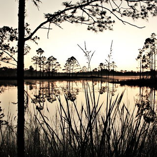 Brackenwake Field Office style, Midjourney V6.1: realistic landscape photograph of quiet dawn