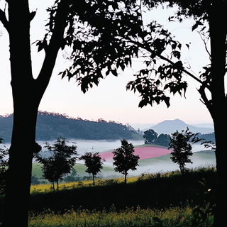 Mammoth Weft style, Midjourney V6.1: realistic landscape photograph of quiet dawn