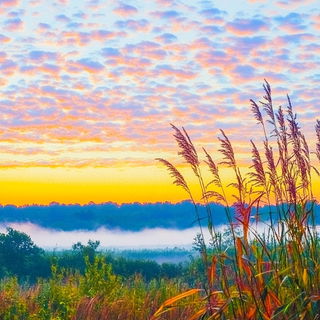 Panelmation style, Midjourney V6.1: realistic landscape photograph of quiet dawn