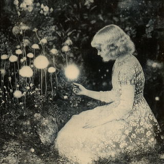 Phytomorph style, Midjourney V6.1: retro fairy-tale illustration