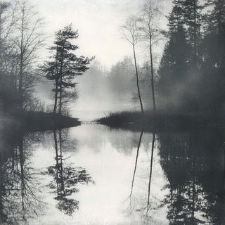 Phytomorph style, Midjourney V6.1: realistic landscape photograph of quiet dawn