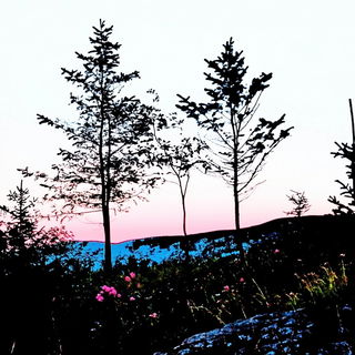 Balloonbaroque style, Midjourney V6.1: realistic landscape photograph of quiet dawn