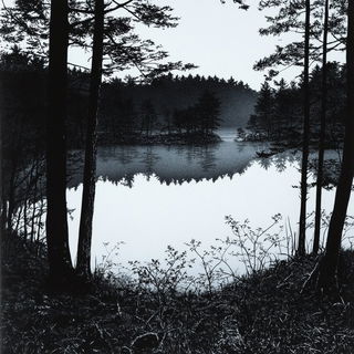 Eagle Script style, Midjourney V6.1: realistic landscape photograph of quiet dawn