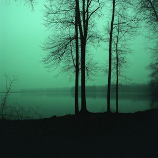 Blackwash Relic style, Midjourney V6.1: realistic landscape photograph of quiet dawn