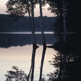 Wayfarer Celgrove style, Midjourney V6.1: realistic landscape photograph of quiet dawn