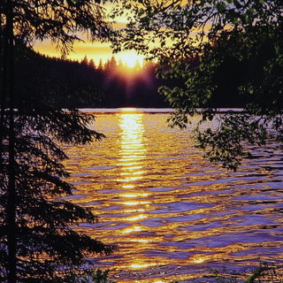 Rustlake Domestic style, Midjourney V6.1: realistic landscape photograph of quiet dawn