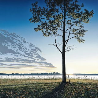 Primary Block Ballet style, Midjourney V6.1: realistic landscape photograph of quiet dawn