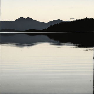 Brushflora style, Midjourney V6.1: realistic landscape photograph of quiet dawn