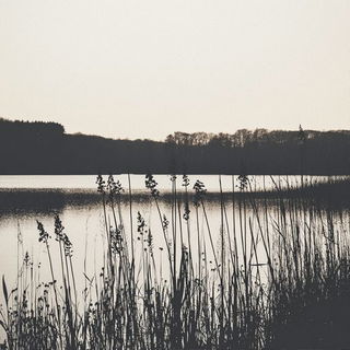 Risolith style, Midjourney V6.1: realistic landscape photograph of quiet dawn