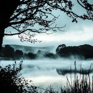 Goldfish Glaze Event style, Midjourney V6.1: realistic landscape photograph of quiet dawn