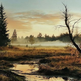 Botanofumism style, Midjourney V6.1: realistic landscape photograph of quiet dawn