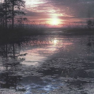 Molten Bokehism style, Midjourney V6.1: realistic landscape photograph of quiet dawn