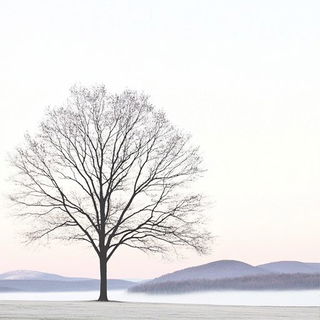 The Caelith Order style, Midjourney V6.1: realistic landscape photograph of quiet dawn
